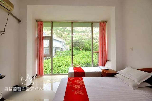 秦皇岛农家院住宿推荐-北戴河附近农家院住宿-昌黎葡萄沟翡翠轩