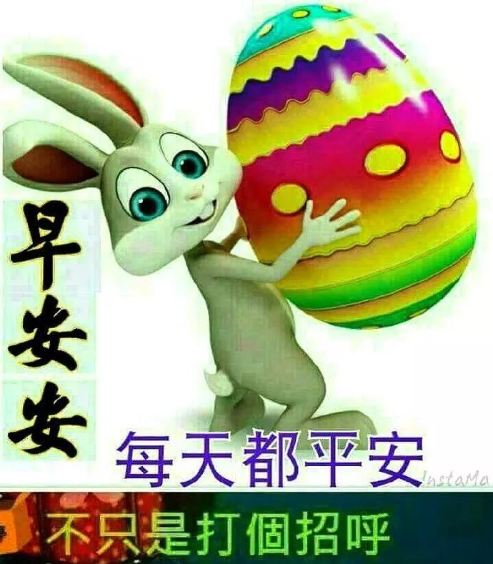 走在路上,要么独自闯荡,要么紧随人后,早安