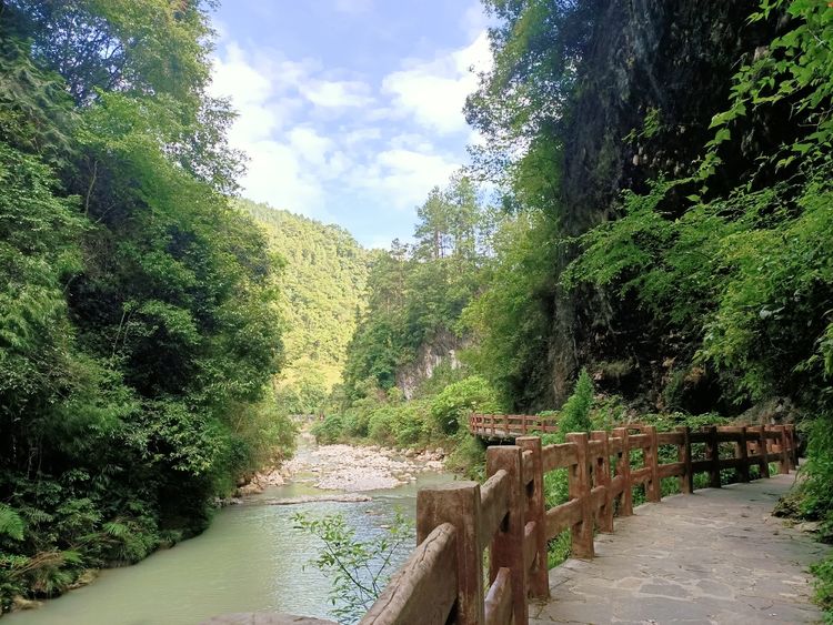 大美武隆仙女山,畅游重庆武隆区仙女山