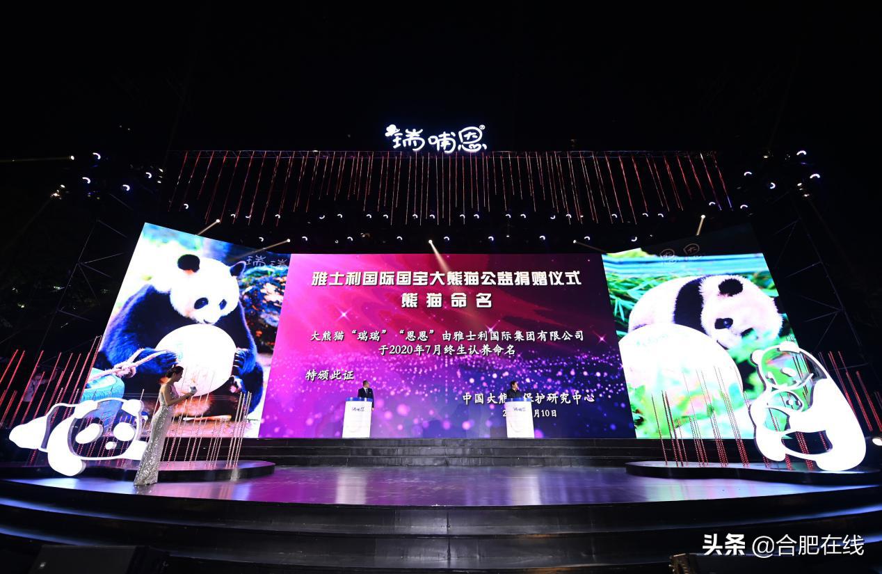 瑞哺恩奶粉原装进口,瑞哺恩儿童成长奶粉怎么样