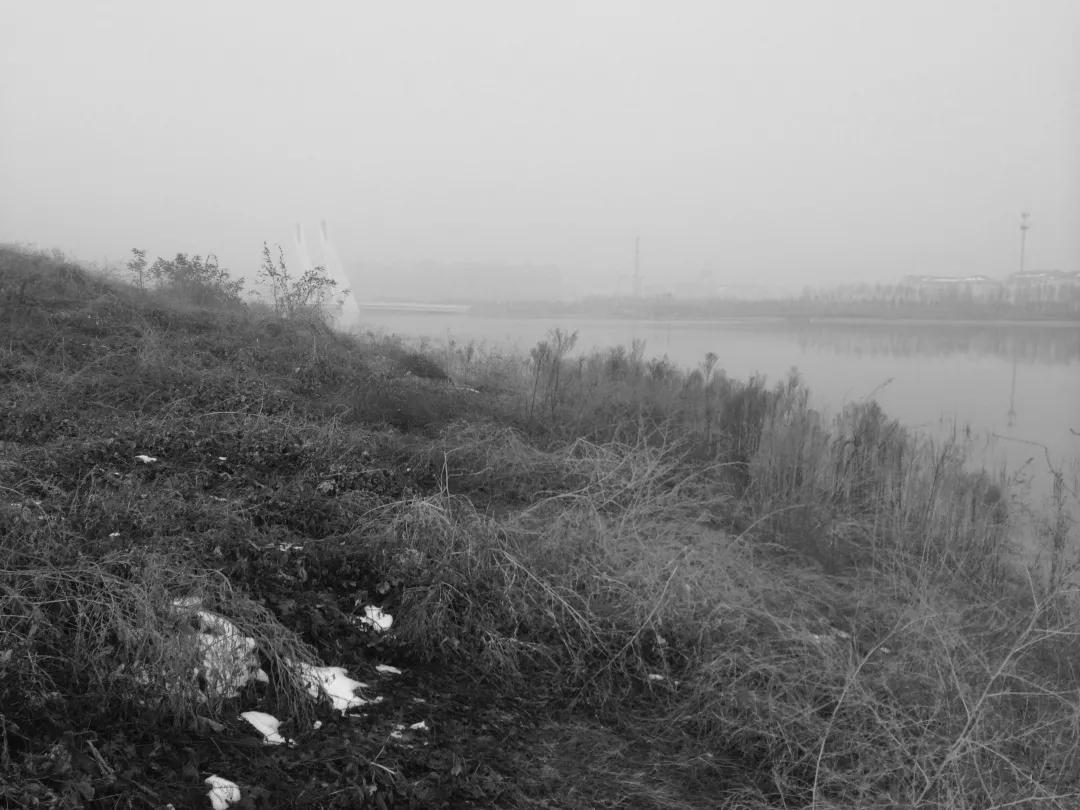 郑州市郑东新区花卉园林景观区,郑东新区象湖景观绿化工程