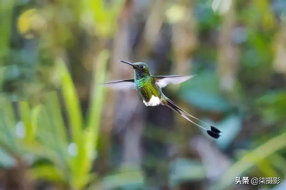 各种对焦模式的适用范围,聚焦区域和自动对焦模式的选择