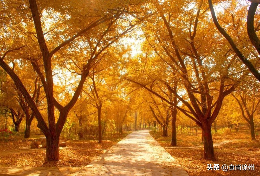 邳州碾庄特色擀面皮,推荐邳州好吃擀面皮