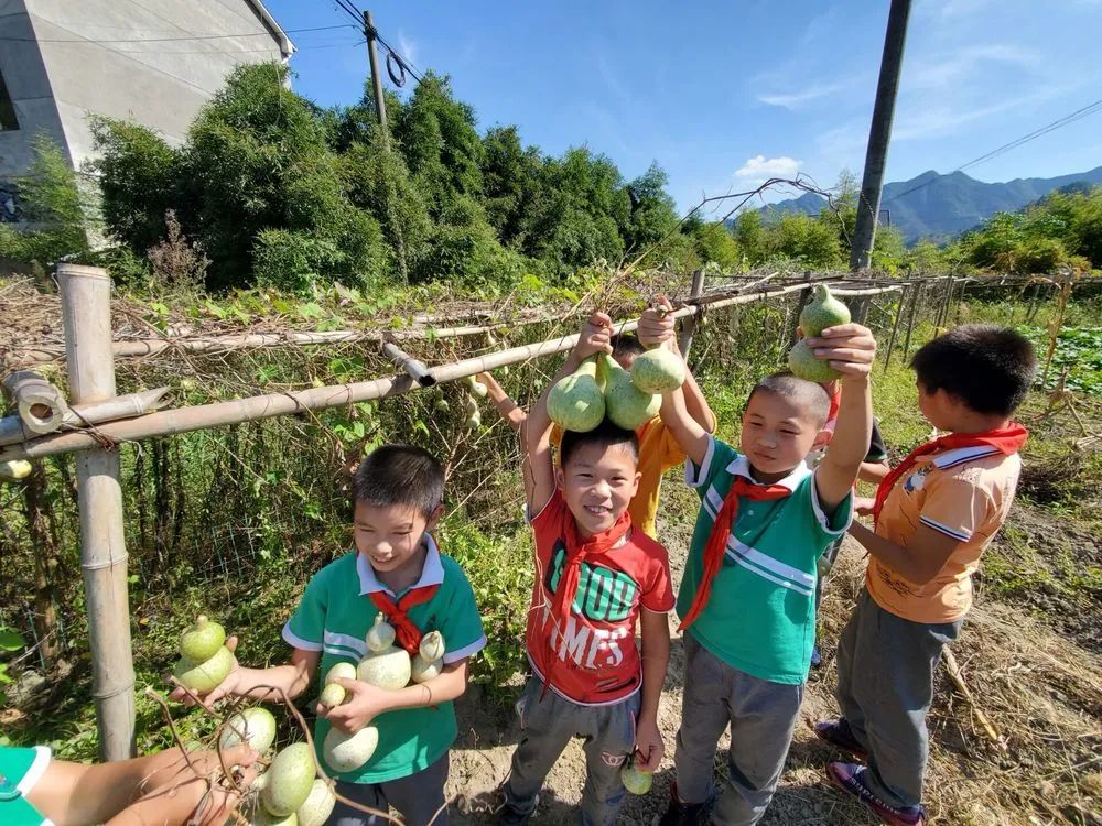 临安最好的小学是哪个,临安小学入学要求