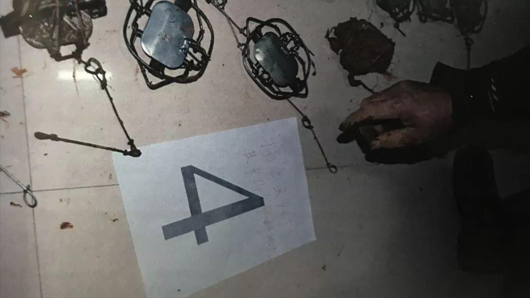 抓黄鼠狼罚960万,21人猎捕1.2万只黄鼠狼判赔近千万