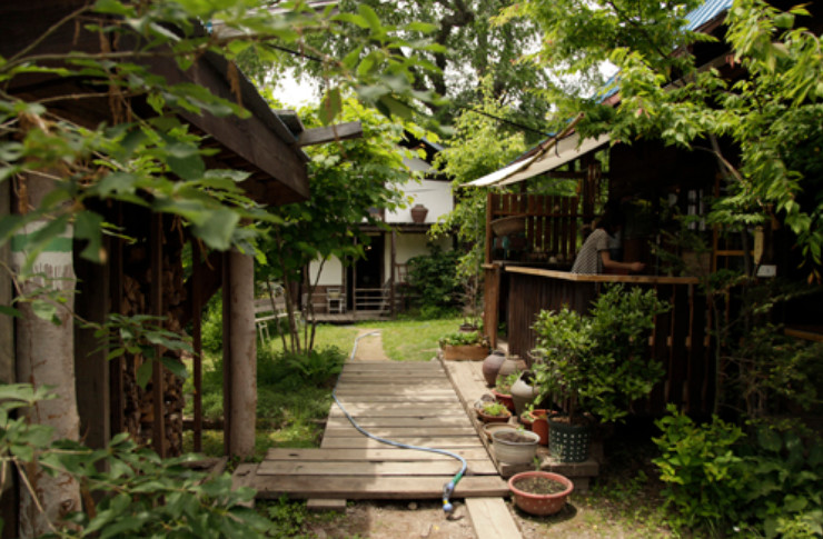 日本最红的店,日本最火的店铺