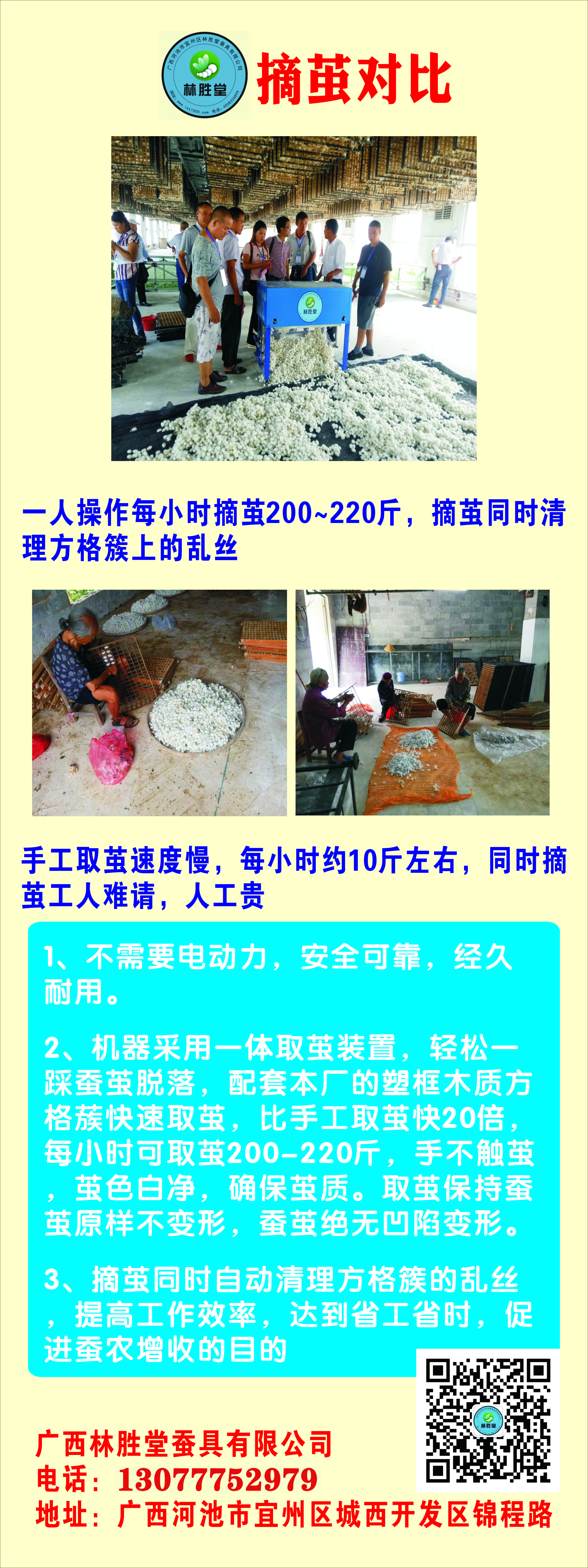 蚕氯气中毒了如何补救,蚕中毒怎么消除