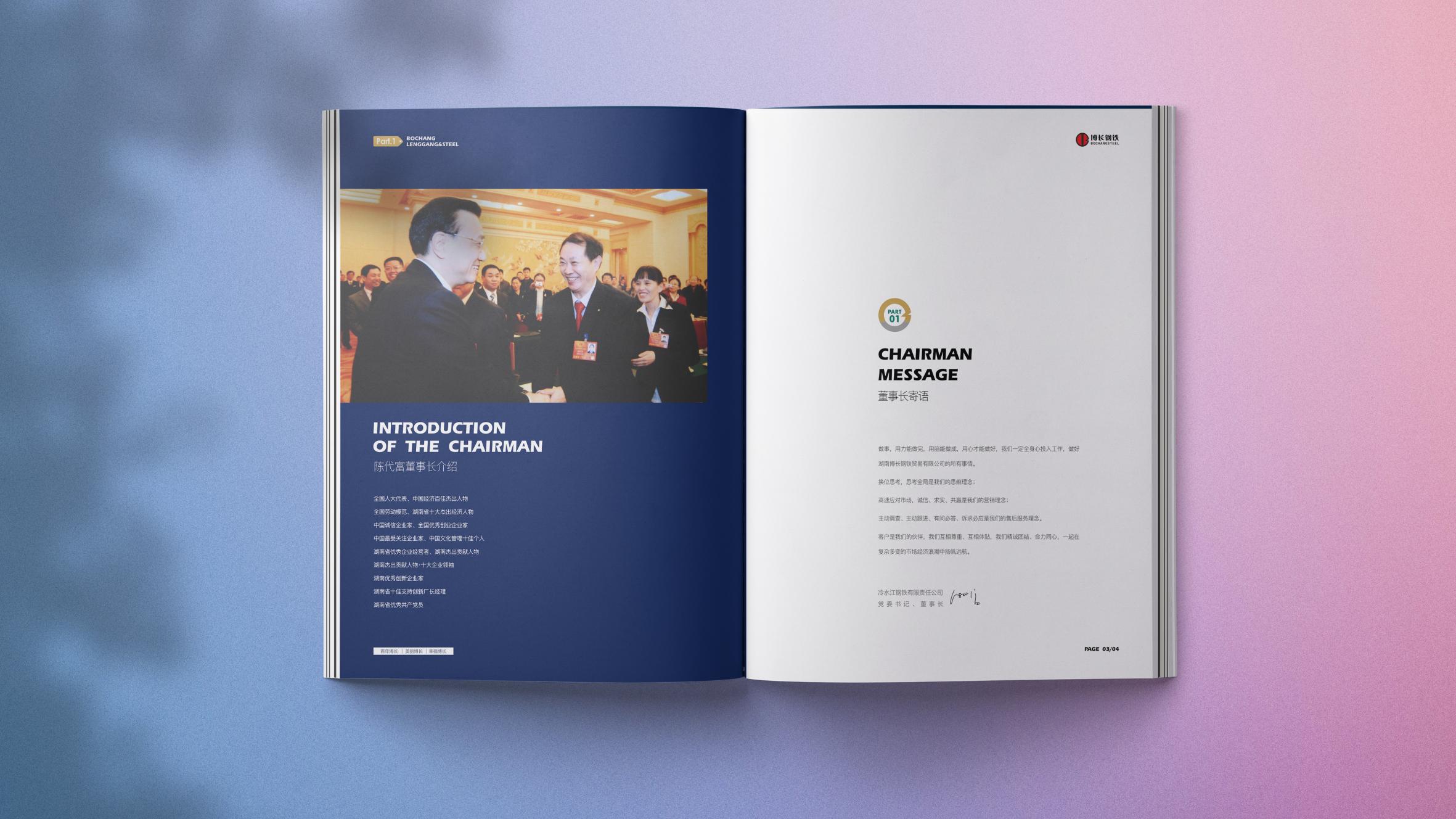 常德博长钢铁贸易有限公司,衡阳博长钢铁贸易有限公司技改