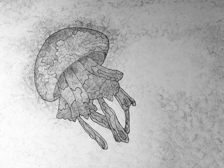 从科学的角度讲人是什么生物,人是怎么来的科学家给出了答案