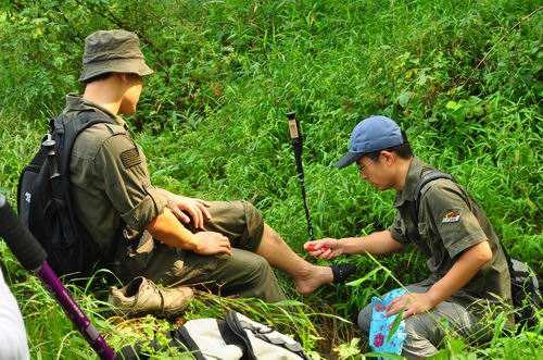 芯迈超薄鞋垫,芯迈软木鞋垫效果图