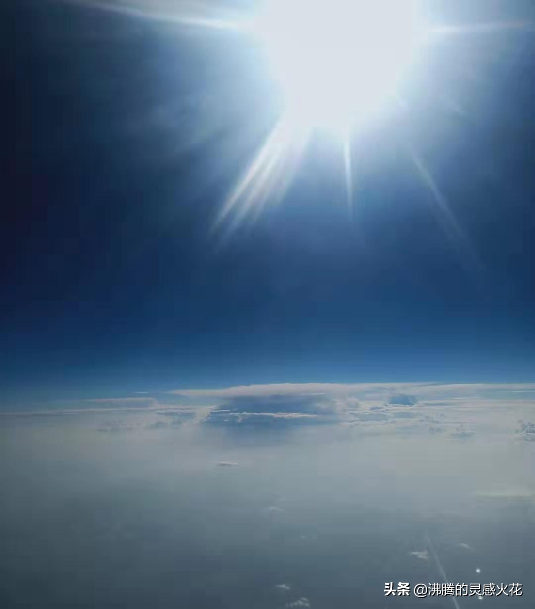 长隆野生动物世界旅游,感受热带南国风景
