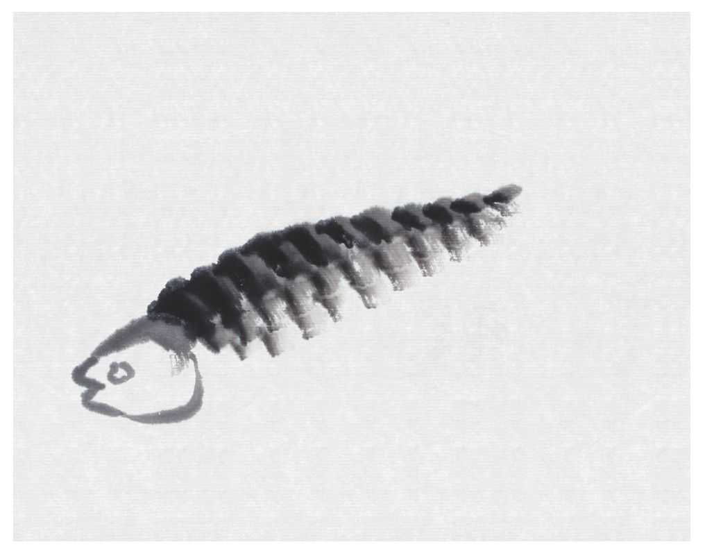 草鱼不会画？那是你没有学会这几点画法，学会几分钟画《鱼乐图》