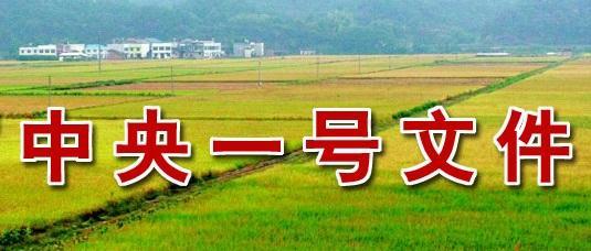 农民返乡创业方法和步骤,现在回乡创业有什么好政策