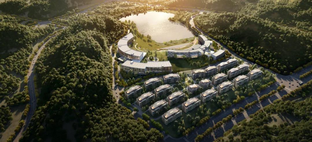 五星闪耀照亮蜂巢城市