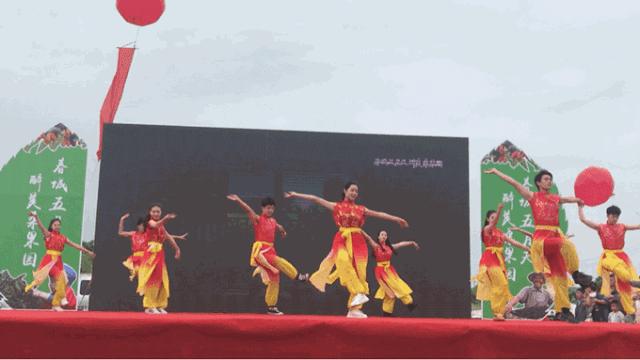 春城*月天五**，醉美桑果园