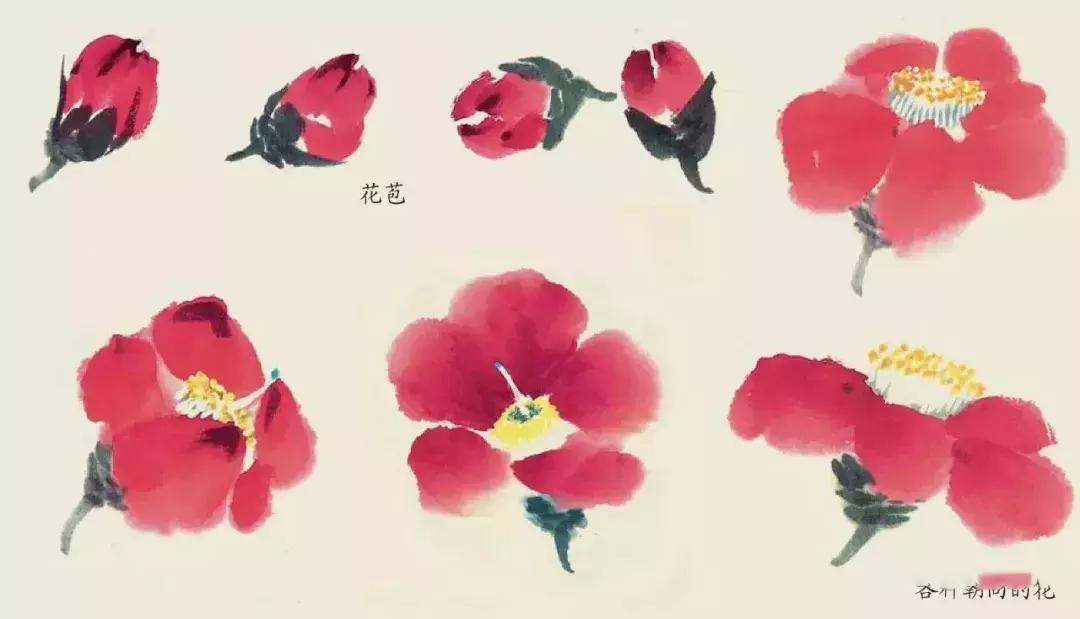 国画团扇花卉画法,国画中常见花卉的画法