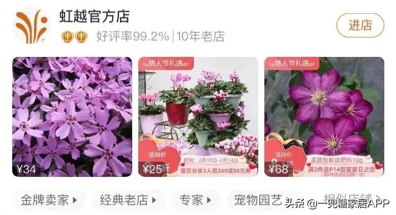 春天花会开|这20家植物淘宝店，植物杀手看了也想买！