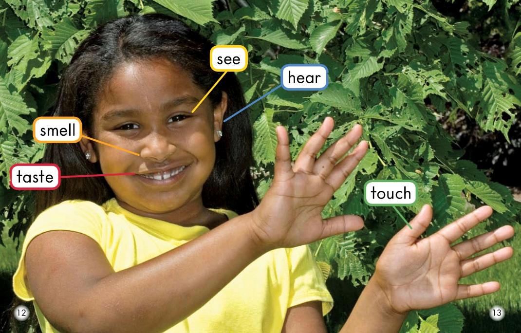 英语绘本故事阅读带汉语,儿童英语绘本点读阅读