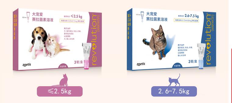 revolution影响效果,大宠爱revolution博美用多少