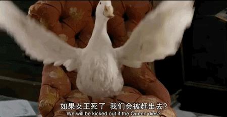 影院复业后你最想看哪部电影,带儿童去影院观看的电影推荐