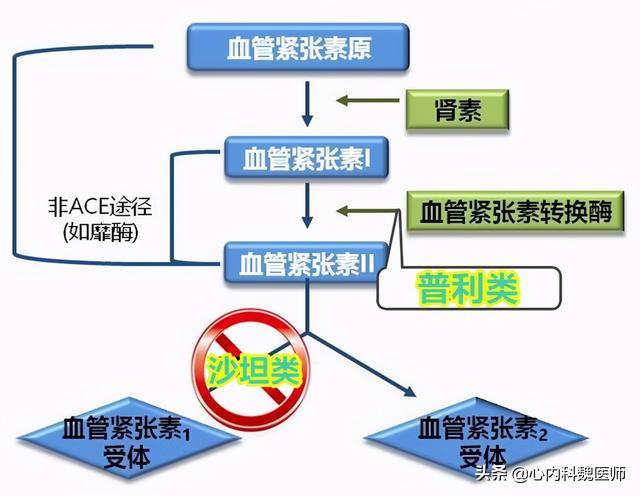 阿利沙坦酯片降尿蛋白效果怎么样,阿利沙坦酯片降血压效果怎么样