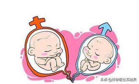 2020好孕新生第一步：如何正确使用排卵试纸精准计算你的排卵期？