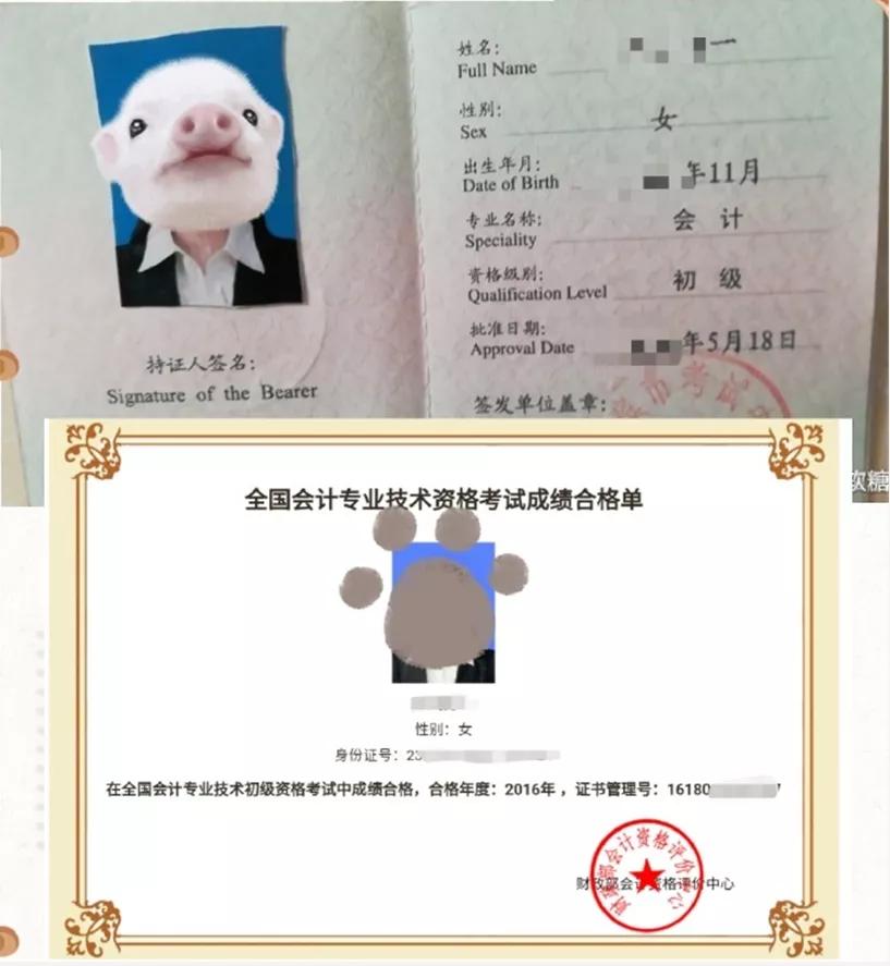 5年拿下财会界5大证书，凭啥她就能做到？美女学霸学习技巧大揭秘