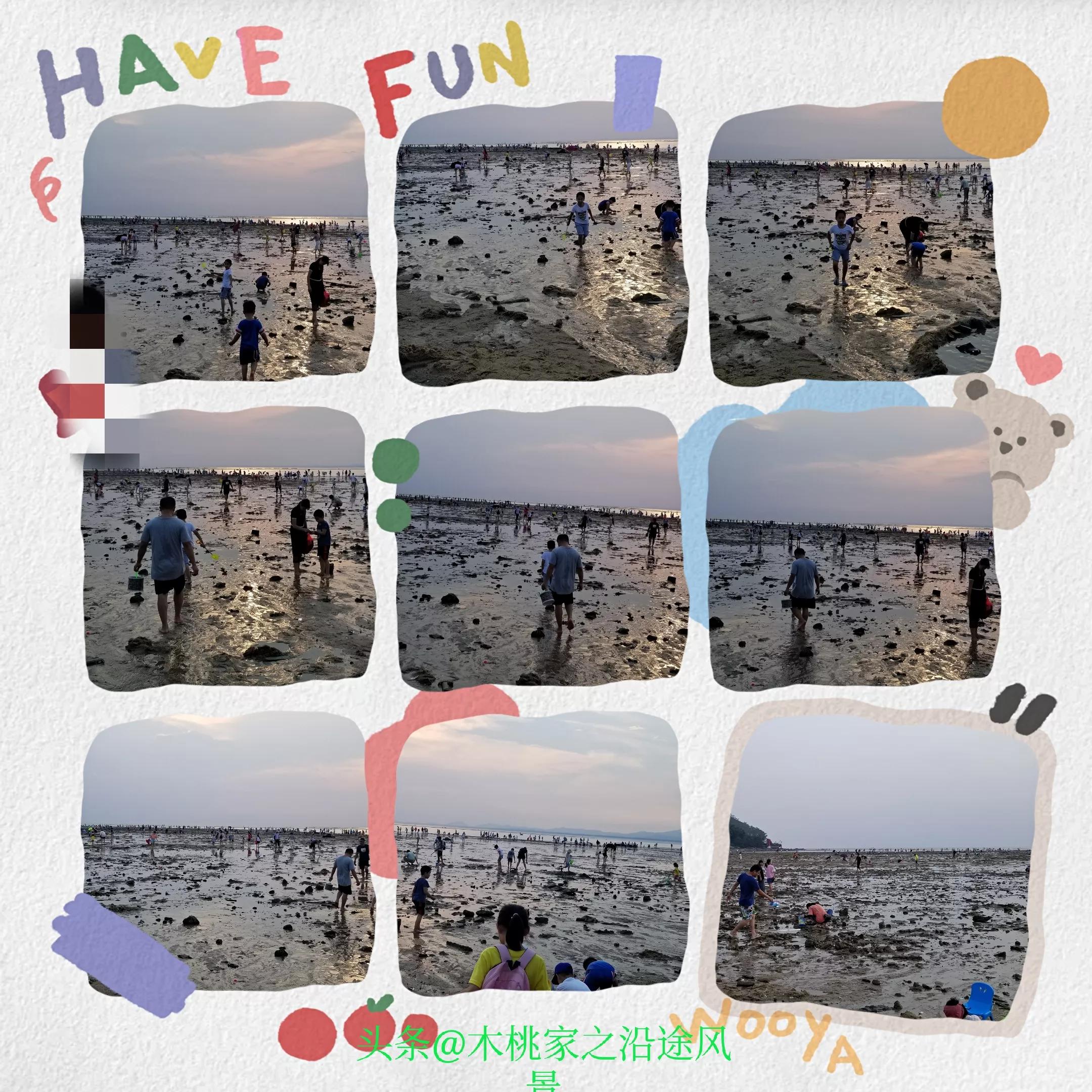 东平赶海沙滩,东平赶海最佳地方