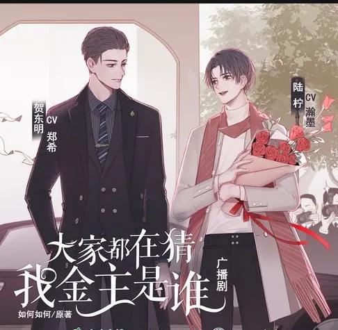 广播剧漫画小说资源包,电子书阅读漫画版