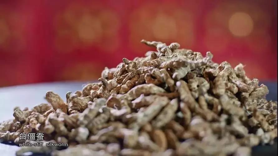 哪种蟑螂有药用价值,蟑螂药用价值是什么