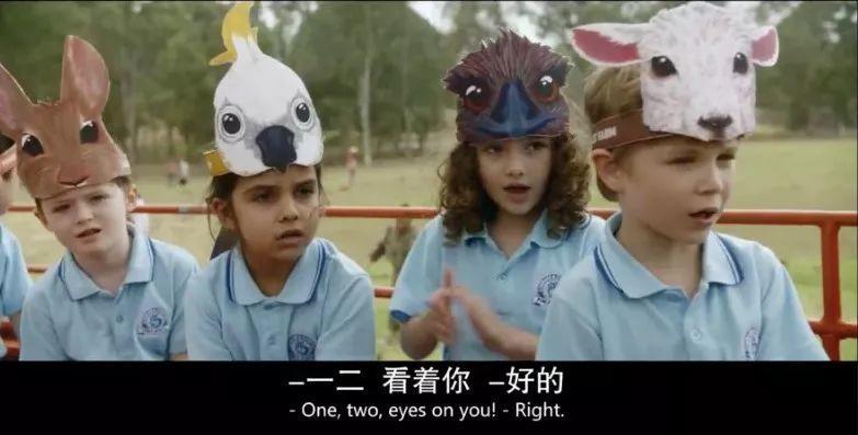 好怪的片，R级画面，S级泪点