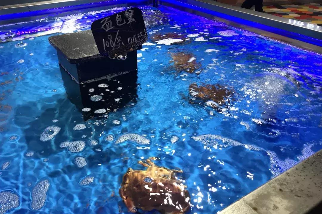 盒马鲜生会来宝业东城广场吗,盒马鲜生之旅