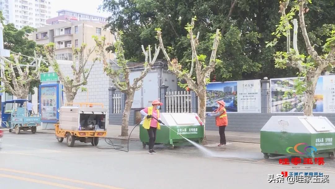 百名劳动者畅谈百年丨李从英：美丽的“城市黄玫瑰”