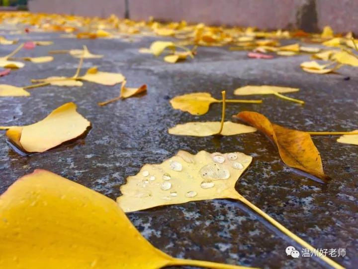 遇见一个智障少年,遇见一个智障儿童