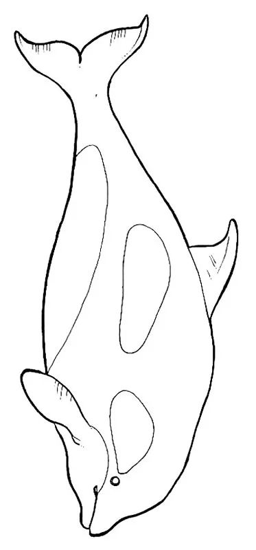 画画入门教程干货博主,基础入门画画必知