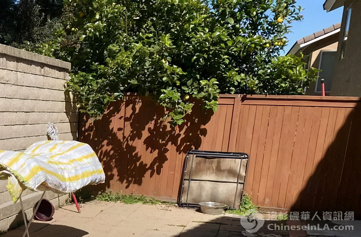 华男抱怨女邻居在家裸奔逗狗!律师:美国性骚扰执法男女有别