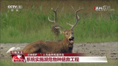 人们应该做什么来保护生物多样性,人类自身应该如何保护生物多样性