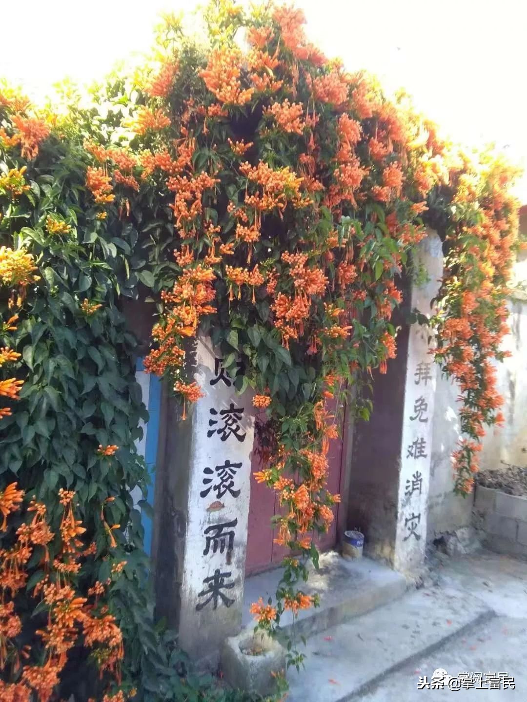 家乡是我们成长的沃土,家乡是生养我们的地方