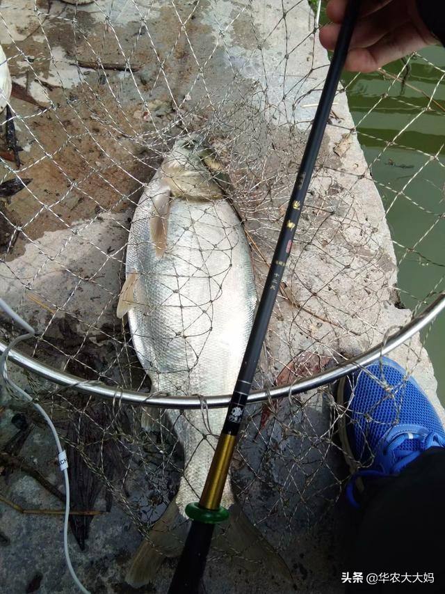 二手钓具交易平台有哪些,二手渔具去哪个平台买靠谱