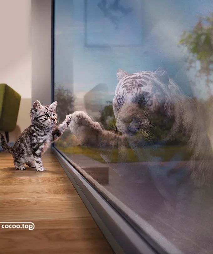 海报设计中的纹样设计,海报设计元素阐释