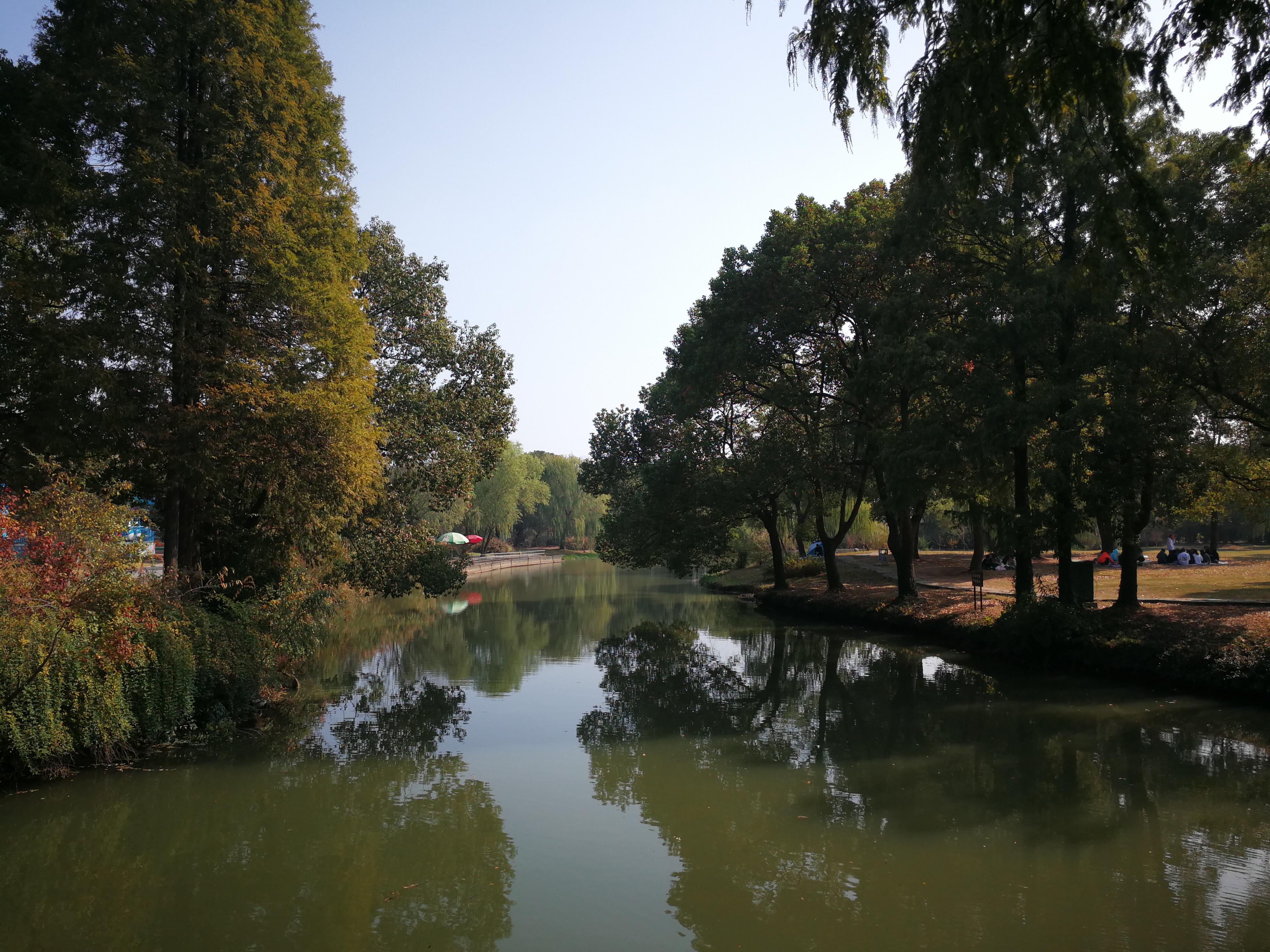 苏州上方山森林公园项目,苏州上方山森林公园好吗