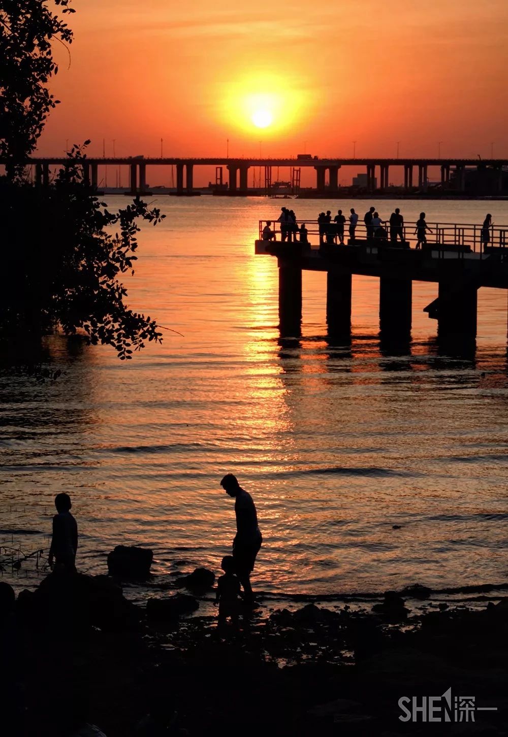 深圳11号线哪一站下车可以看海,坐深圳11号线去看海的地方