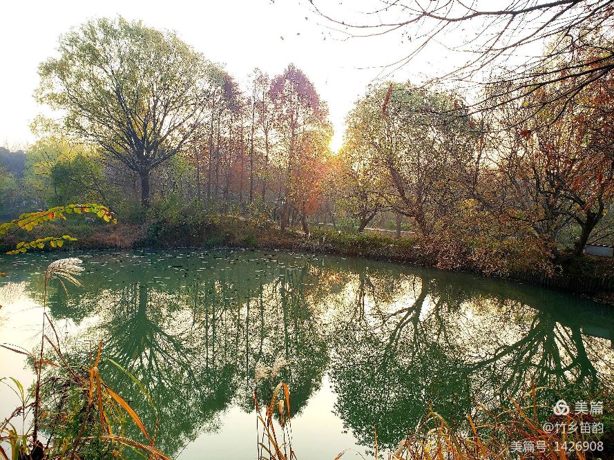 绝美西溪,西溪南冬季景色