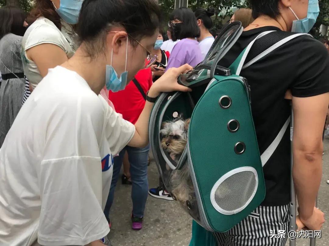 18年辽宁高考作文题目,今年辽宁高考作文解析视频