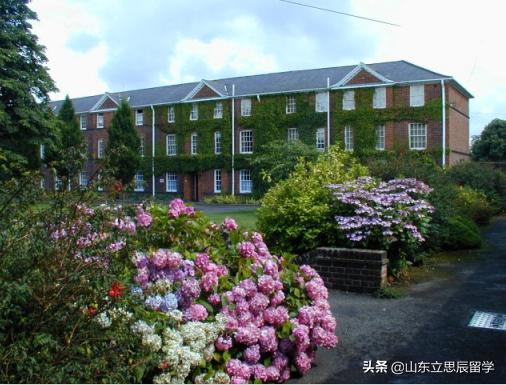 埃塞克斯大学怎么样,埃塞克斯大学在英国的位置