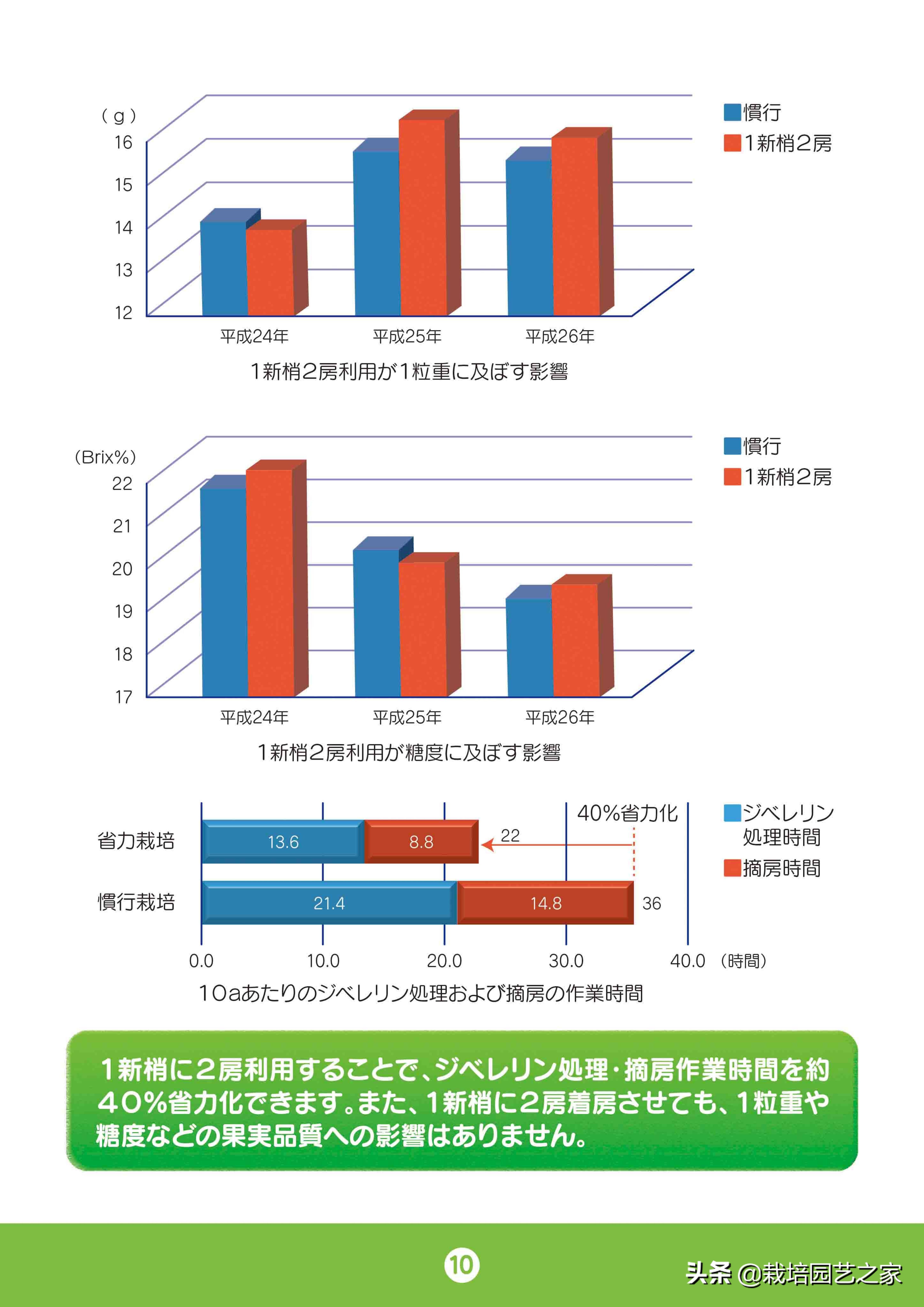 日本阳光玫瑰葡萄全教程,日本阳光玫瑰保果配方