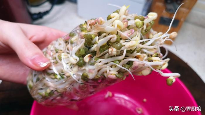 自己在家生豆芽三天就能吃,在家生绿豆豆芽