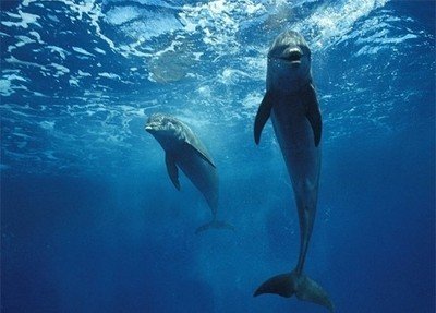 长隆欢乐世界2020嘉年华巡游,长隆广州世界嘉年华欧洲风情游