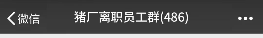 有活力的微信群名,年轻有活力微信群名