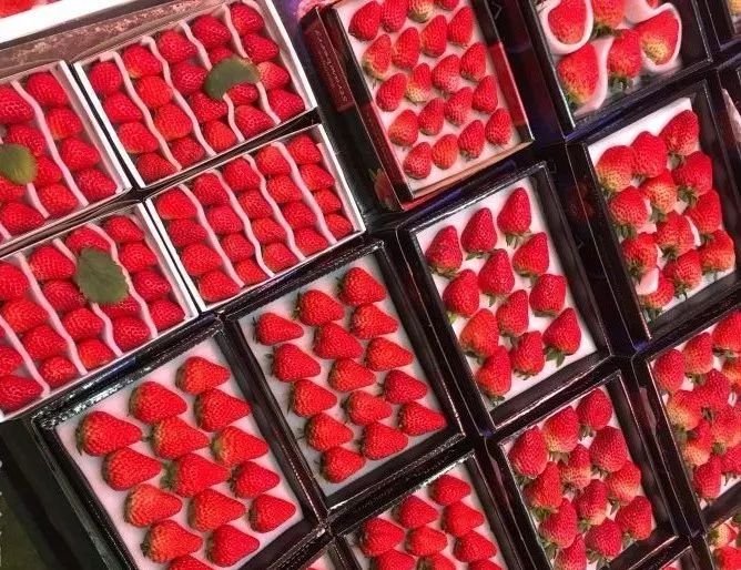 深圳批发年货零食市场,今年深圳的年货市场在哪里